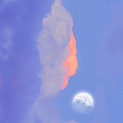 Inzamam-ul-Haq avatar