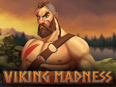 Viking Madness game thumbnail