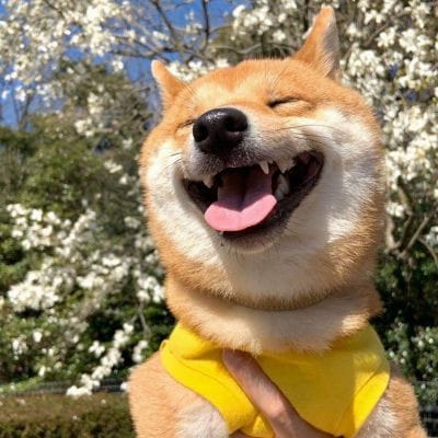 Arsalan Naseer avatar